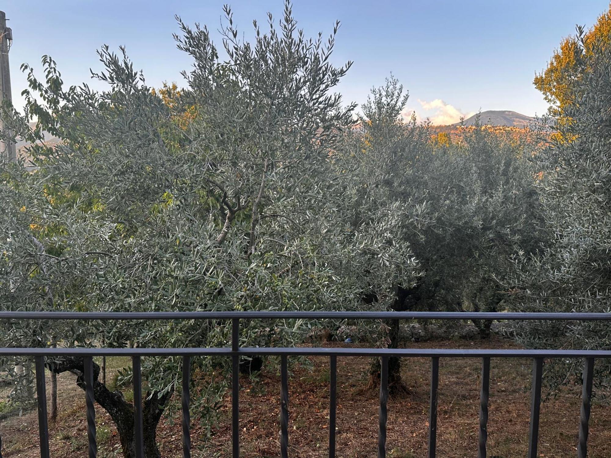 La Casa In Collina Apartamento Veroli Exterior foto